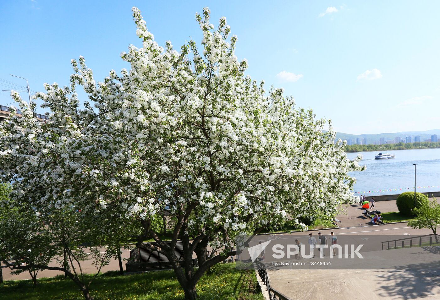 Russia Blooming Season