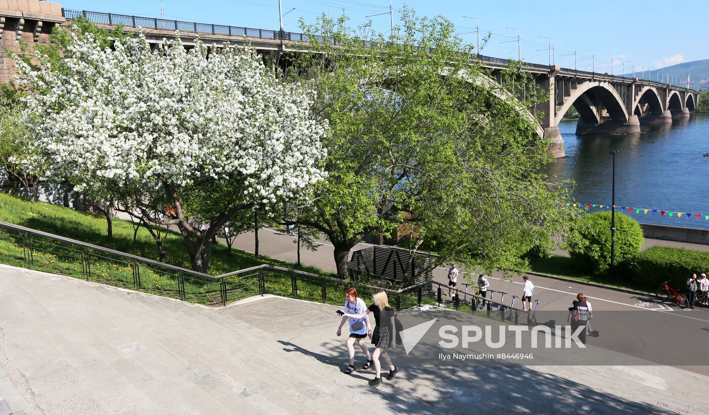 Russia Blooming Season