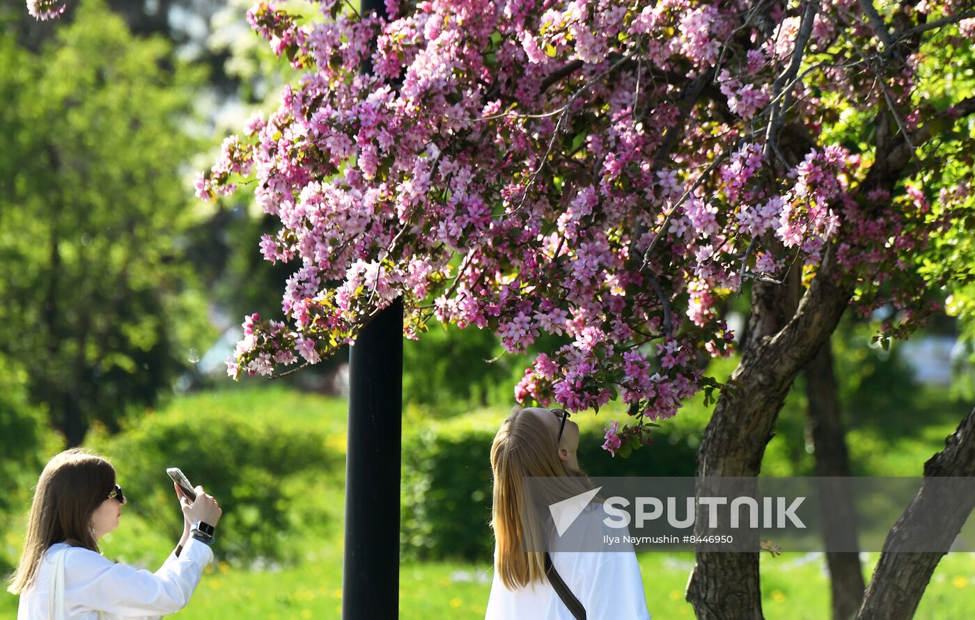 Russia Blooming Season