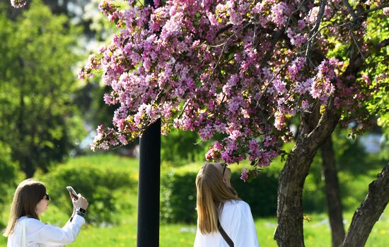Russia Blooming Season