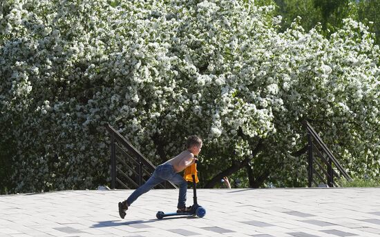 Russia Blooming Season