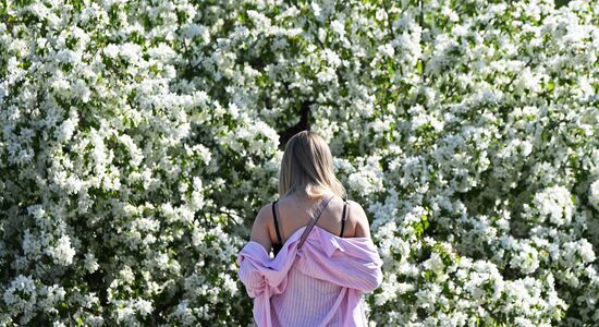 Russia Blooming Season