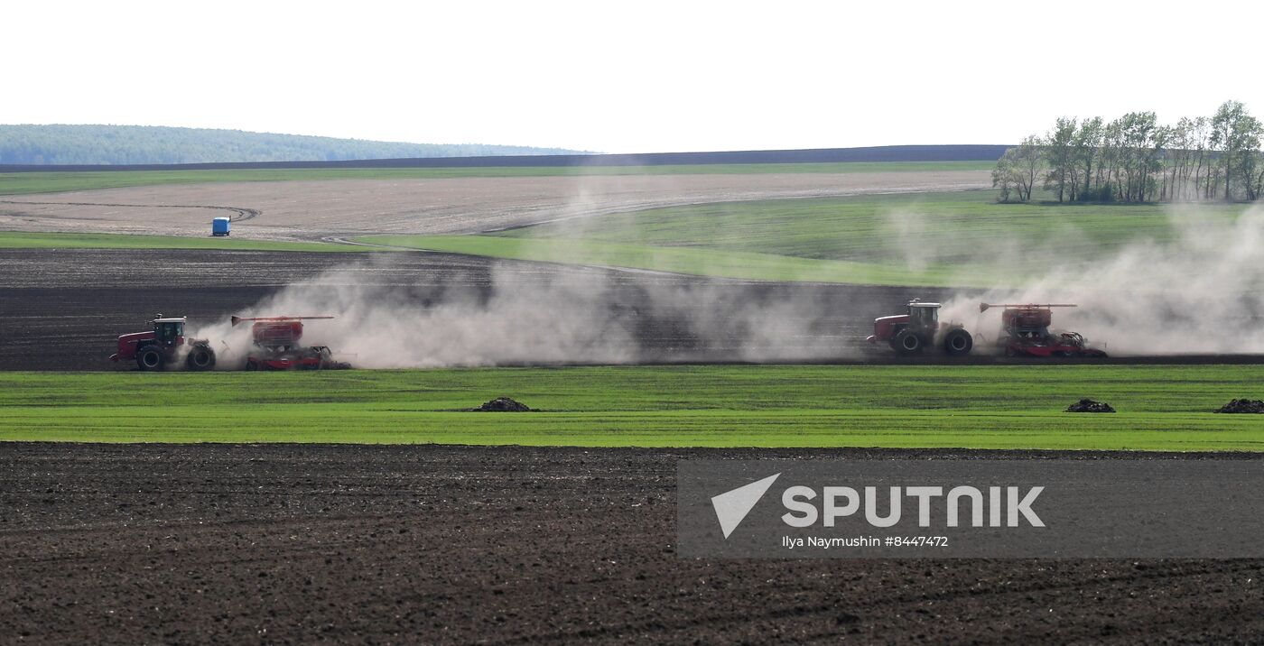 Russia Agricultural
