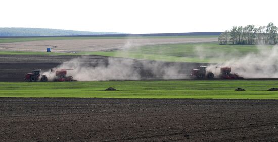 Russia Agricultural