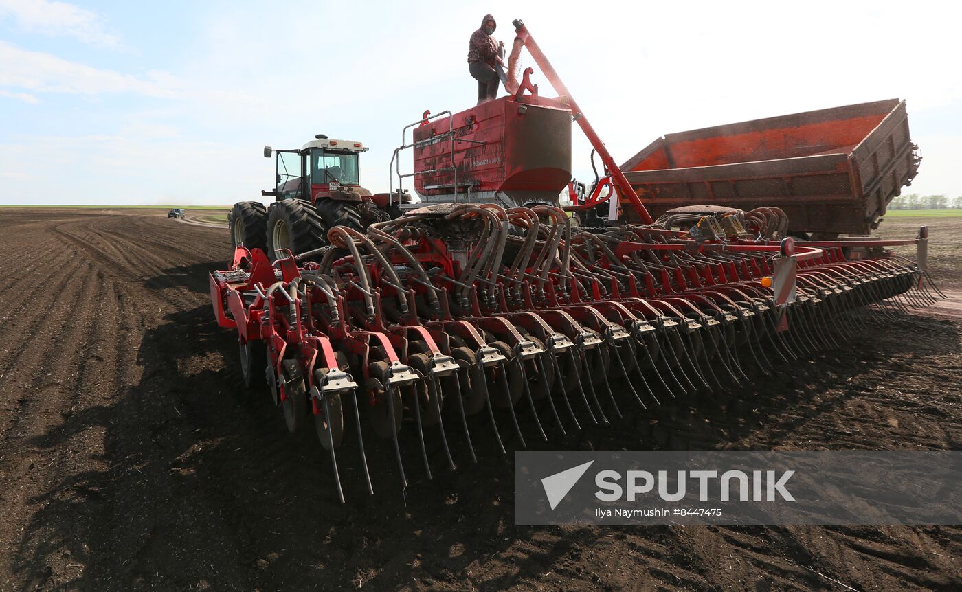 Russia Agricultural