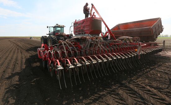 Russia Agricultural