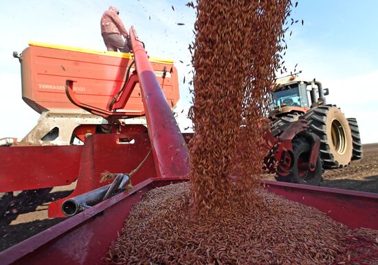 Russia Agricultural