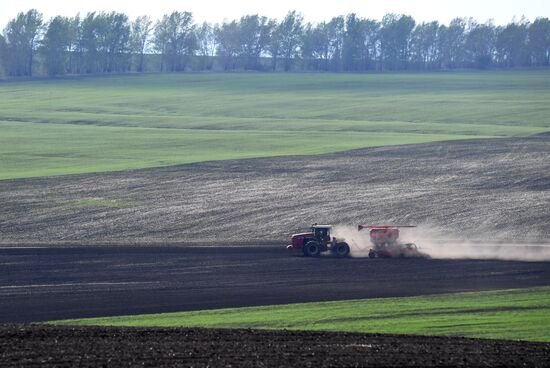 Russia Agricultural