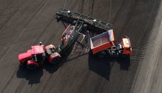 Russia Agricultural