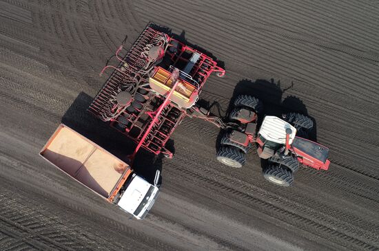 Russia Agricultural