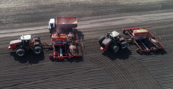Russia Agricultural