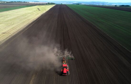 Russia Agricultural