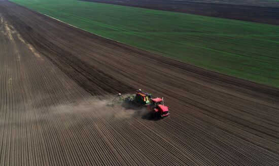 Russia Agricultural