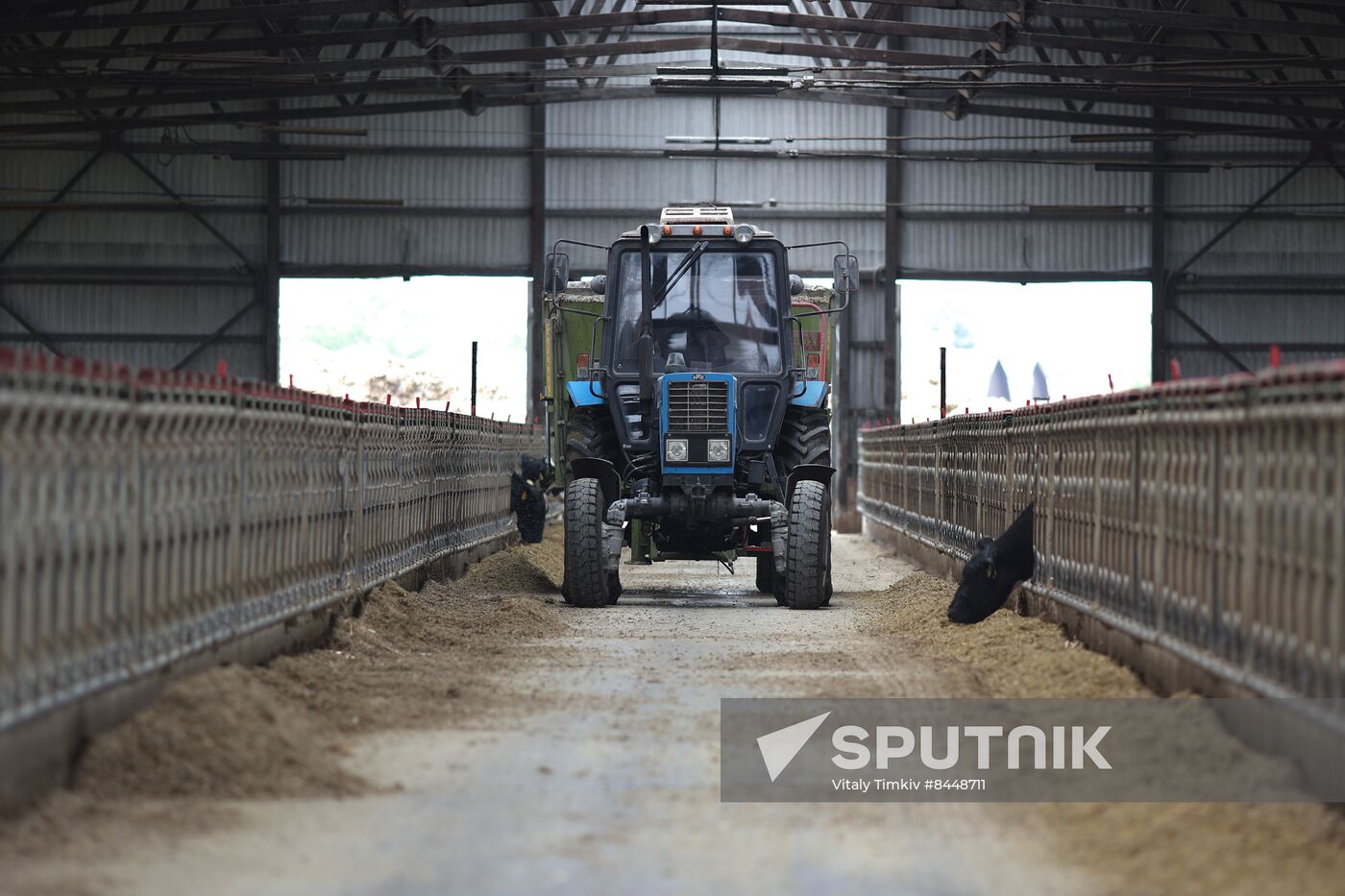 Russia Agriculture Dairy Farm