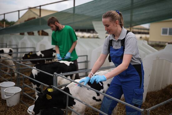 Russia Agriculture Dairy Farm