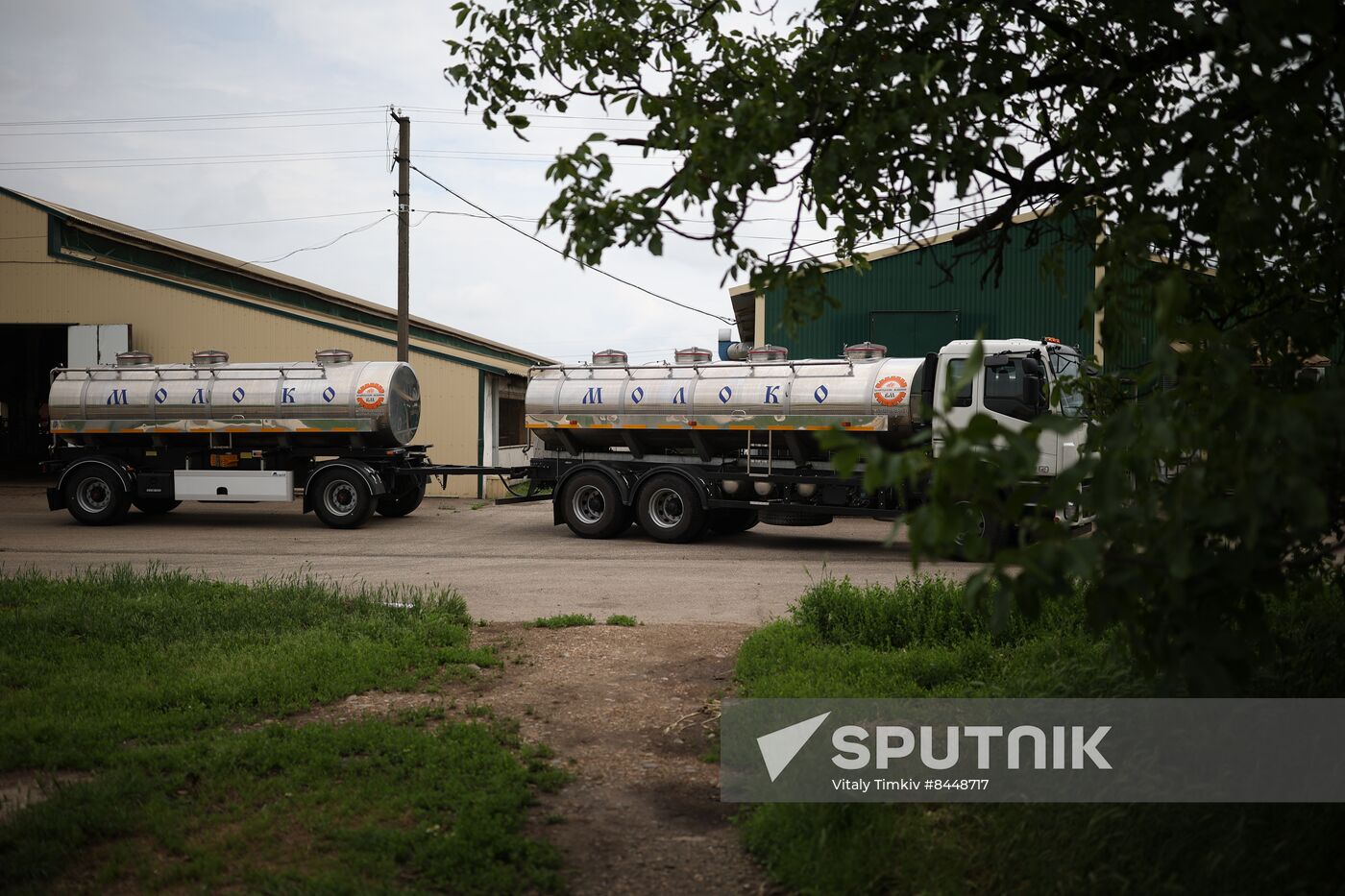 Russia Agriculture Dairy Farm