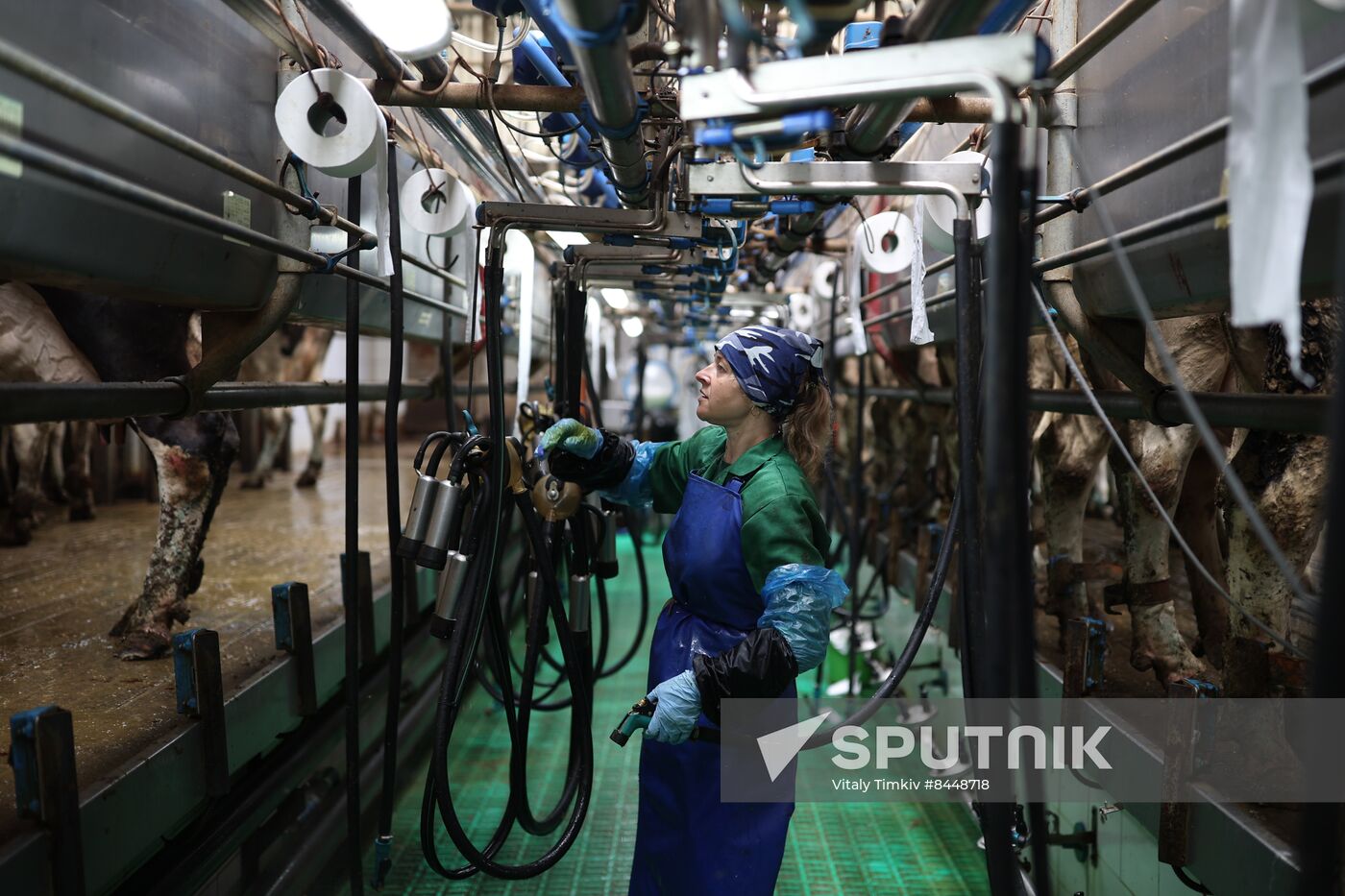 Russia Agriculture Dairy Farm