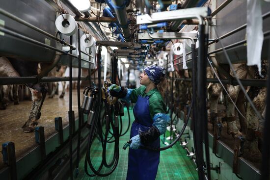 Russia Agriculture Dairy Farm