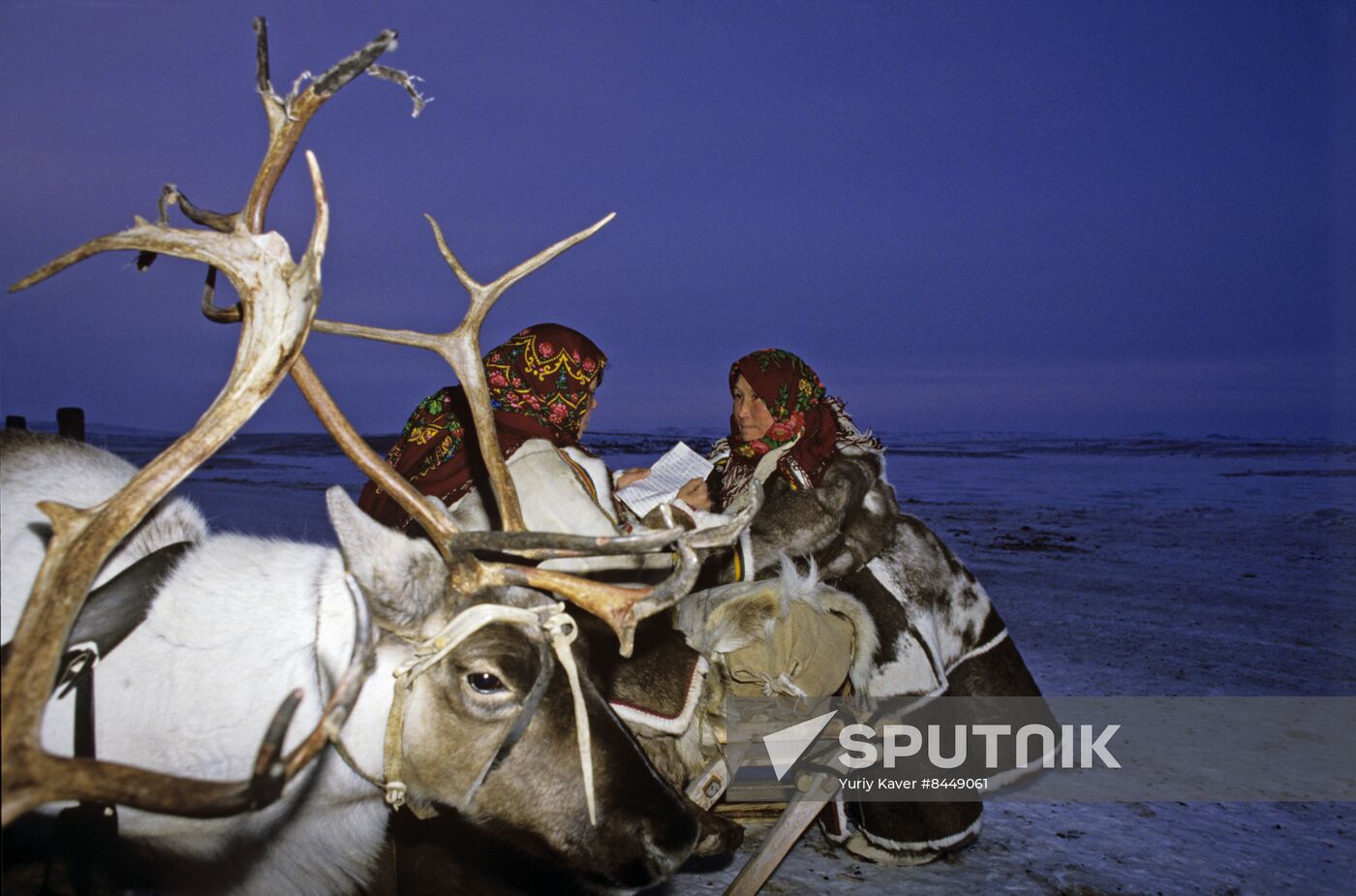 Yamal-Nenets Autonomous Area