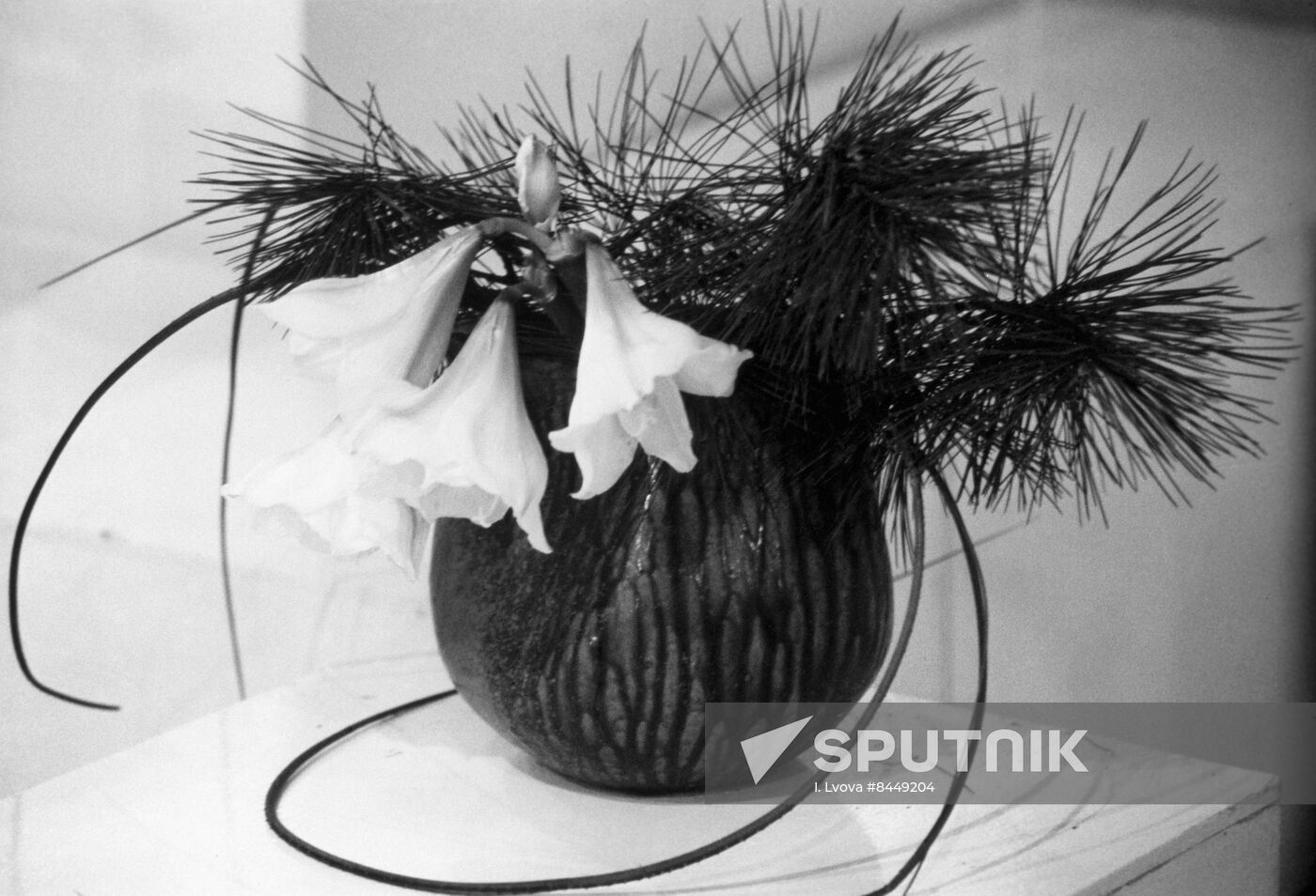 Mother's Grief flower composition