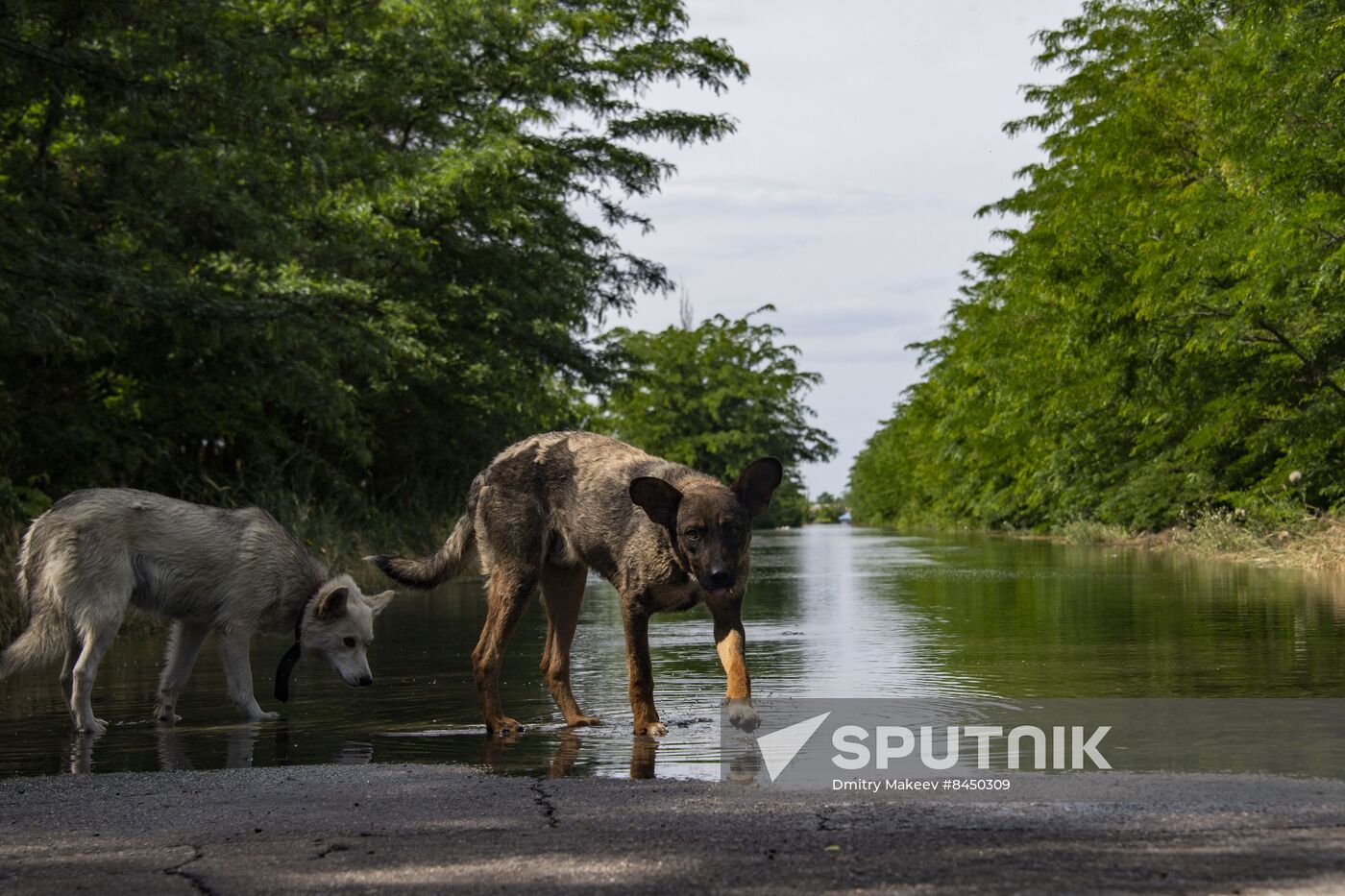 Russia Ukraine Kakhovka HPP Destruction