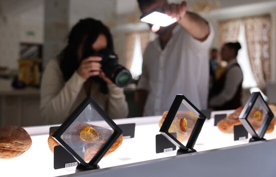 Russia Amber Exhibition
