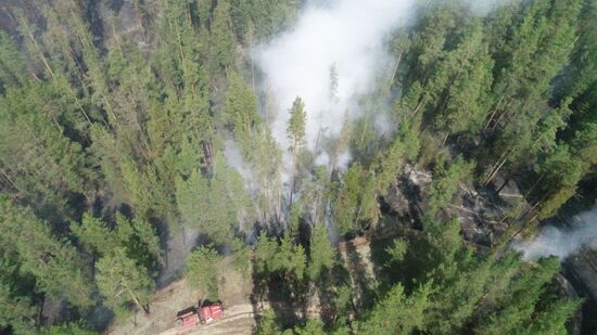 Russia Wildfires