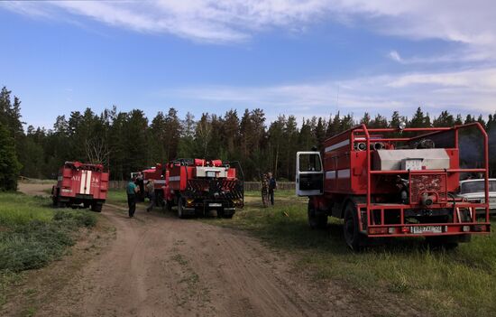Russia Wildfires