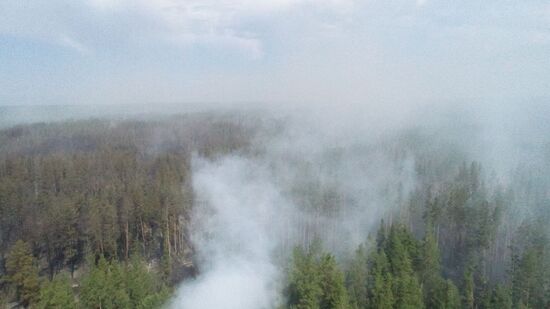 Russia Wildfires