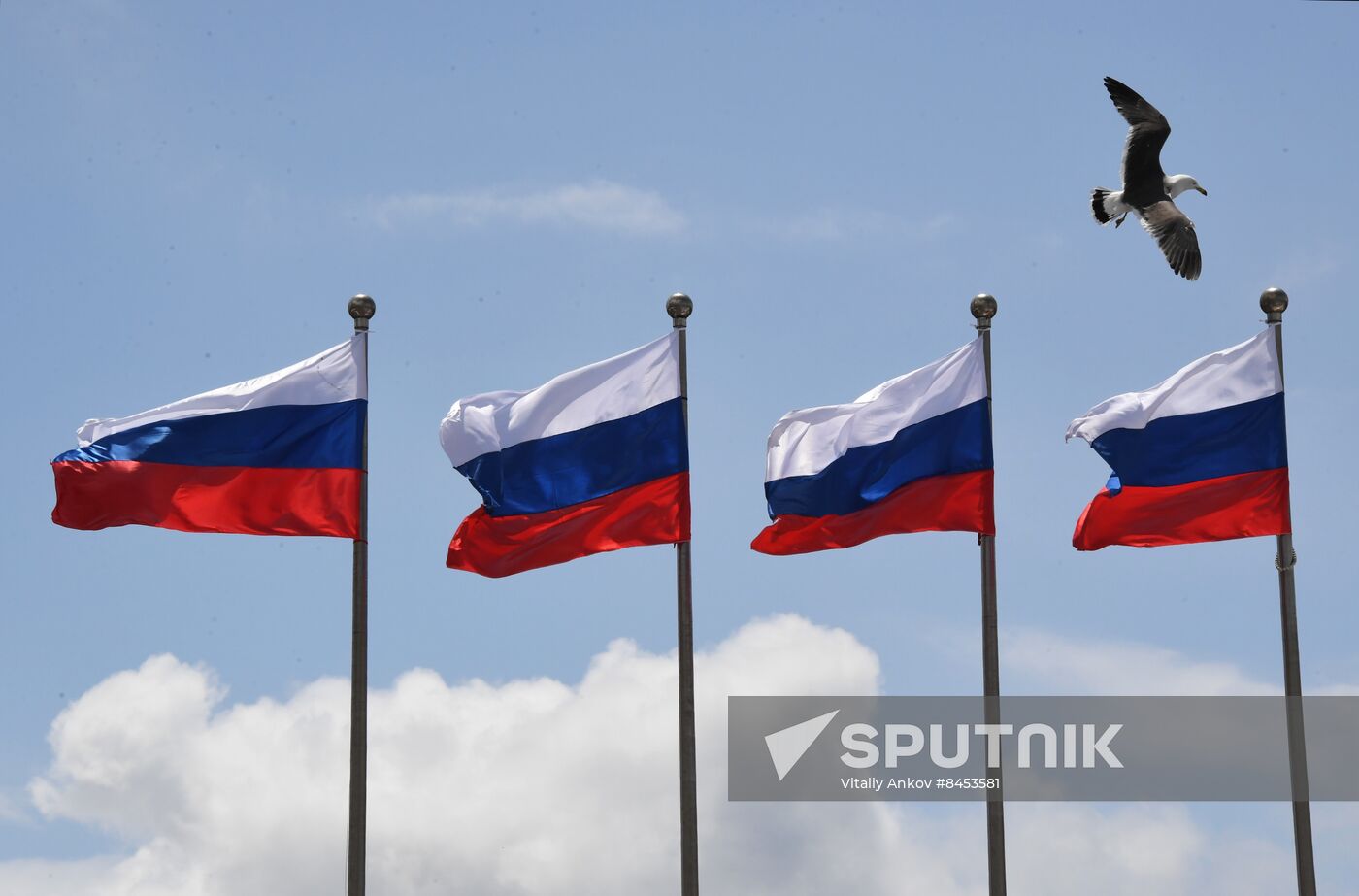 Russia Day Celebrations