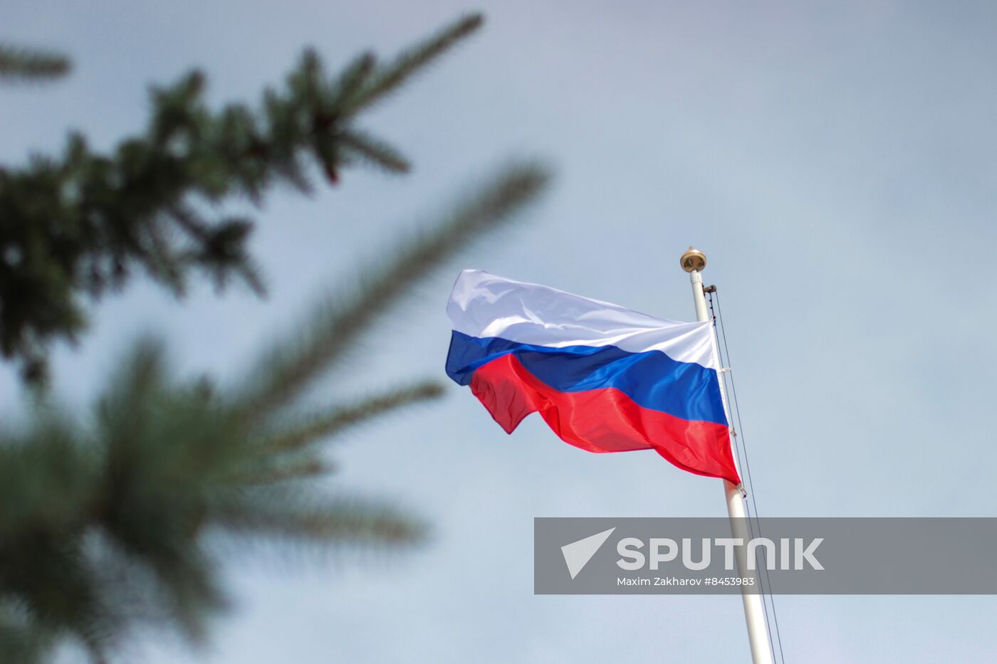 Russia Day Celebrations