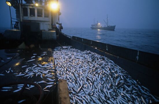 Kirov exemplary fishing collective farm