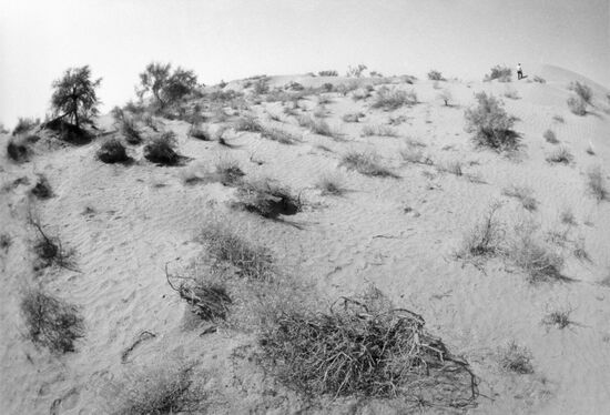 Karakum Desert