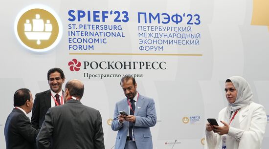 SPIEF-2023. Industrial Clusters in the UAE: New Opportunities for Russian Exporters