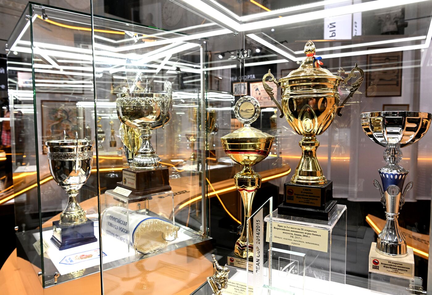 SPIEF-2023. Olympic Games in Artifacts exhibition