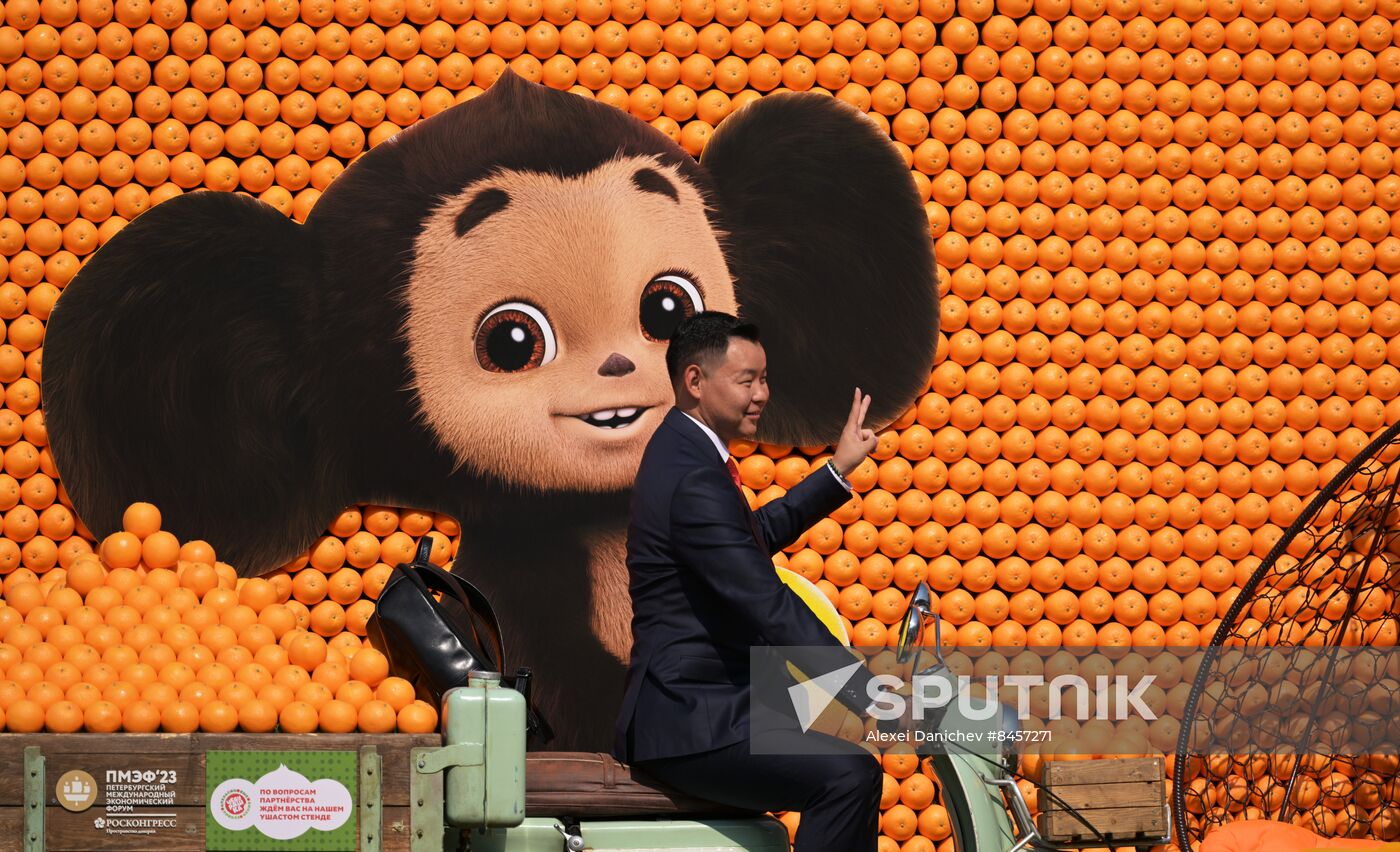 SPIEF-2023. On the sidelines