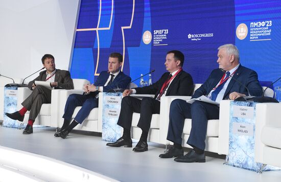 SPIEF-2023. Investment potential of the Russian Arctic
