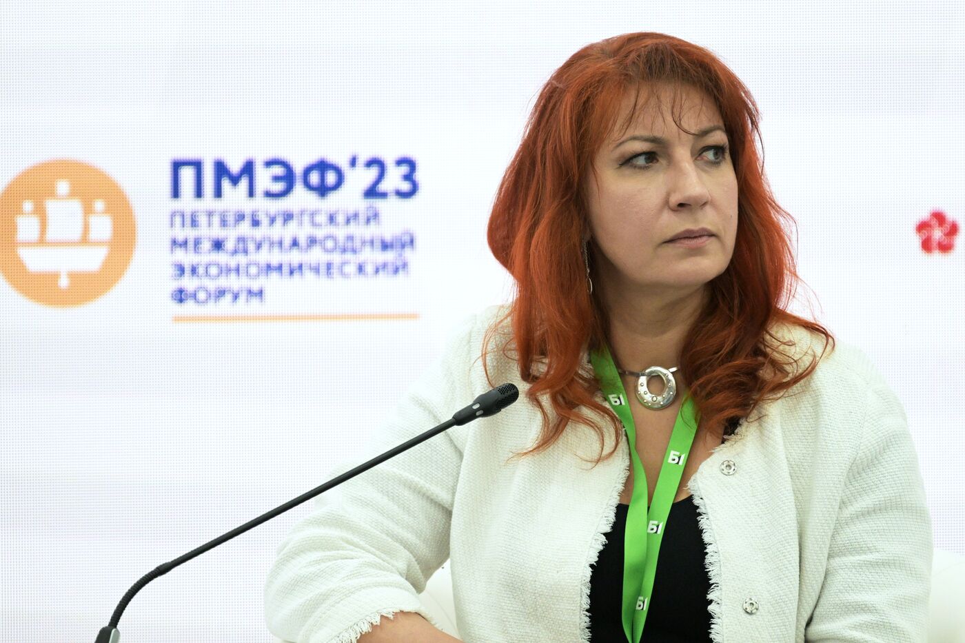 SPIEF-2023. Investing in Cities: Measuring Effectiveness
