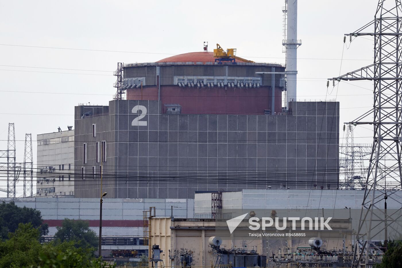 Russia Ukraine Military Operation Nuclear Plant