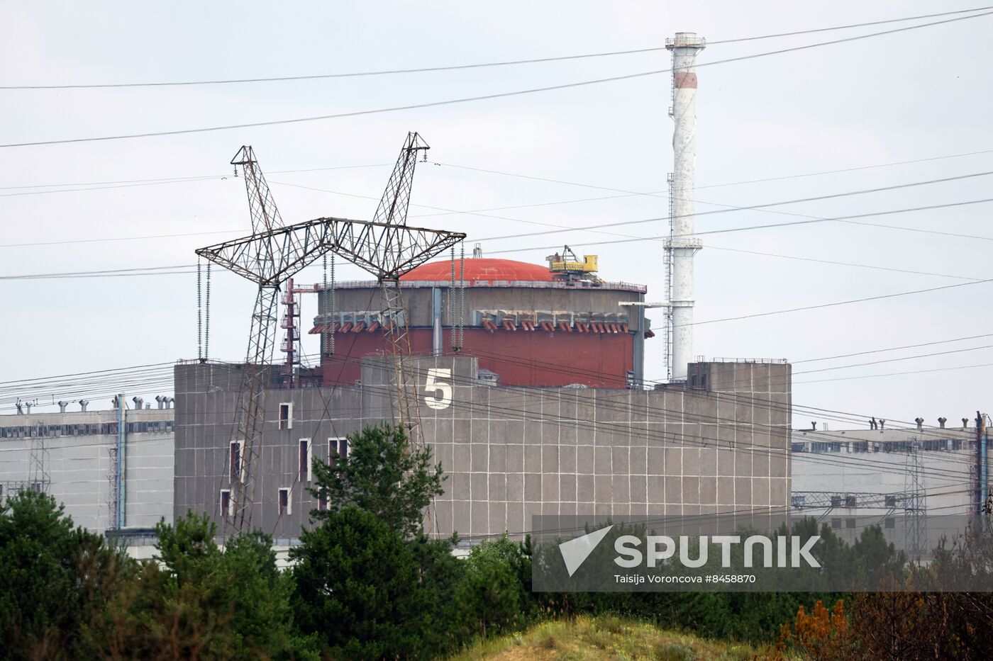 Russia Ukraine Military Operation Nuclear Plant