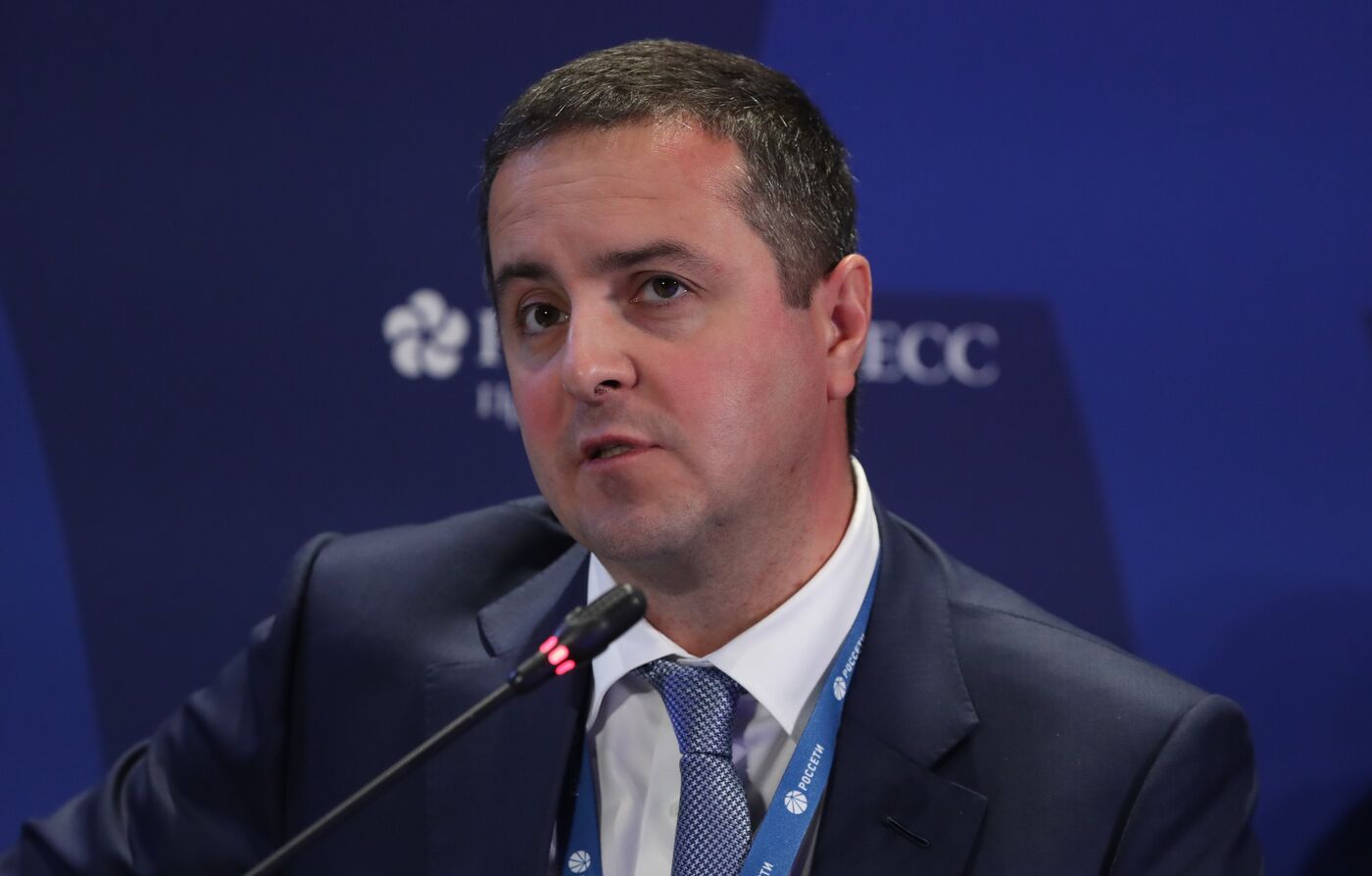 SPIEF-2023. Renewable Energy: Low Electricity Prices or Technological Sovereignty?