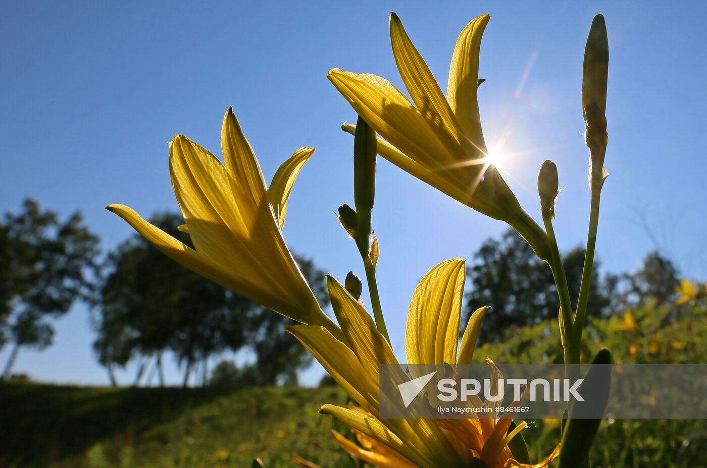 Russia Blooming Season