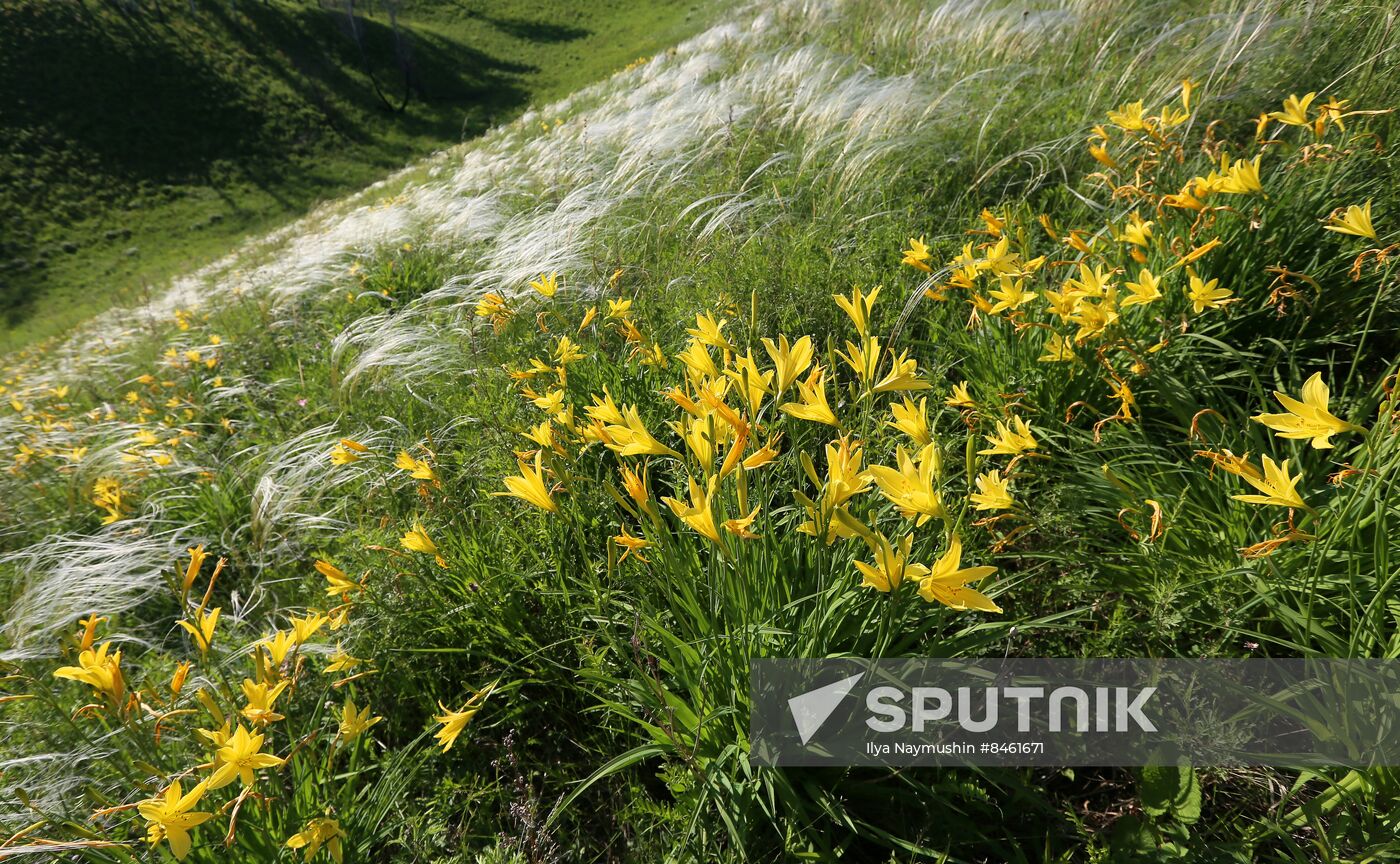 Russia Blooming Season