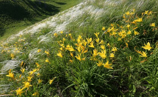 Russia Blooming Season