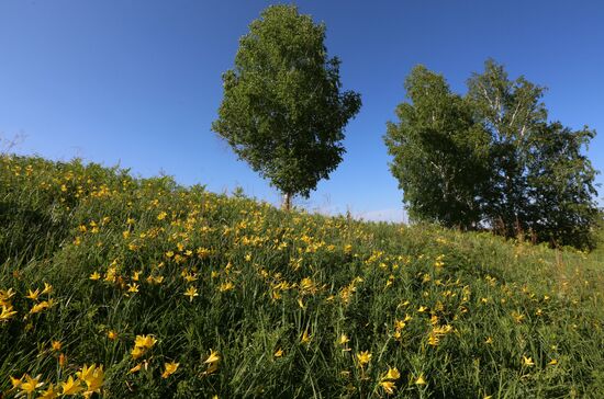 Russia Blooming Season