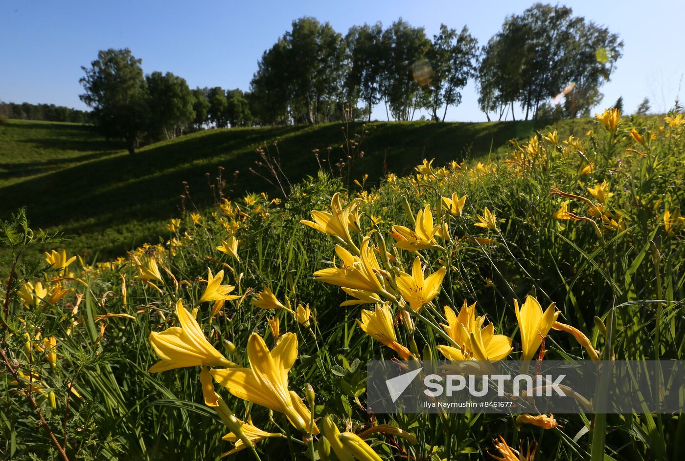 Russia Blooming Season