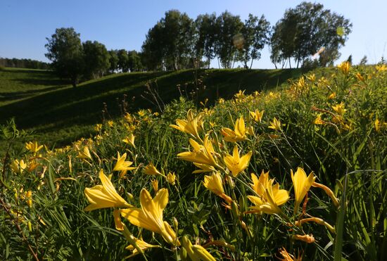 Russia Blooming Season