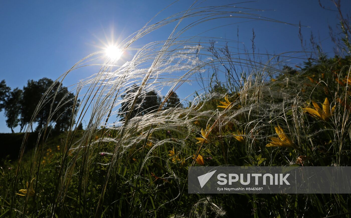 Russia Blooming Season