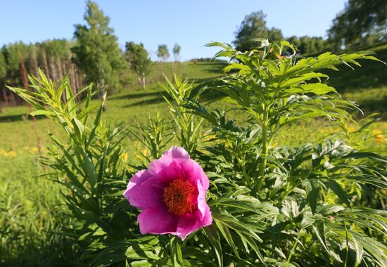 Russia Blooming Season