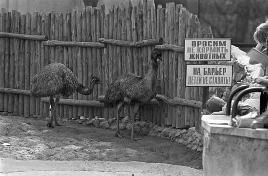 Moscow Zoo